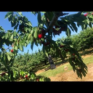 Meet your Posher, Zara